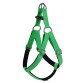 Actirex Neon Köpek Göğüs Tasması Yeşil Xsmall 1.5x35-40 Cm