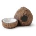 Exo Terra Sürüngen Ex Coconut Saklanma Alanı Su Kabı Kahverengi