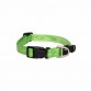 Rogz Alpinist Halsband Desenli Köpek Boyun Tasması Yeşil Large 34x56 Cm